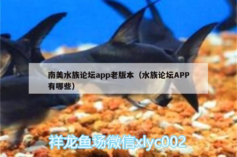 南美水族論壇app老版本（水族論壇APP有哪些） 其他益生菌