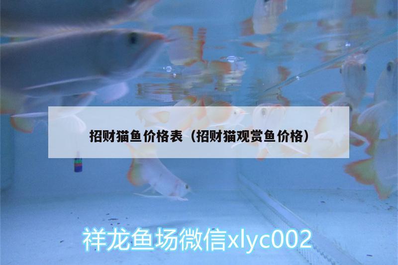 招財貓魚價格表（招財貓觀賞魚價格） 肥料