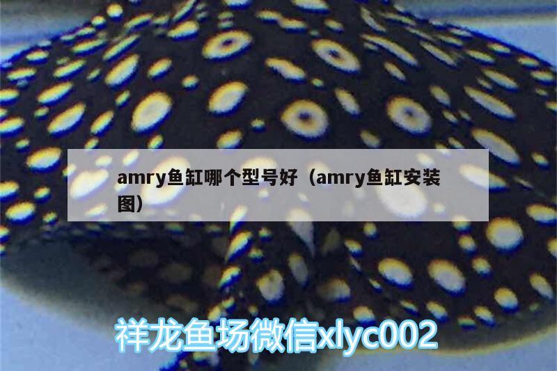 amry魚缸哪個(gè)型號(hào)好（amry魚缸安裝圖） 水溫計(jì)