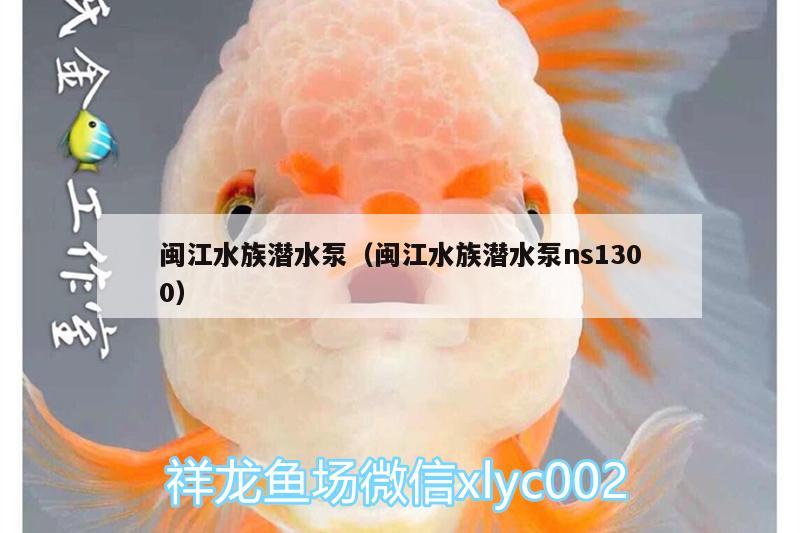 閩江水族潛水泵（閩江水族潛水泵ns1300）