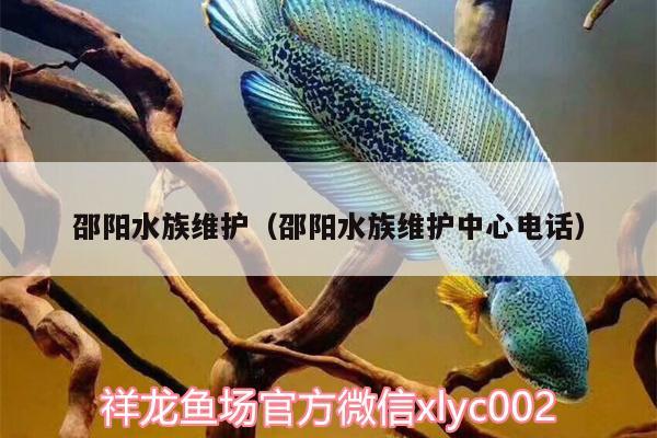 邵陽水族維護(hù)（邵陽水族維護(hù)中心電話）