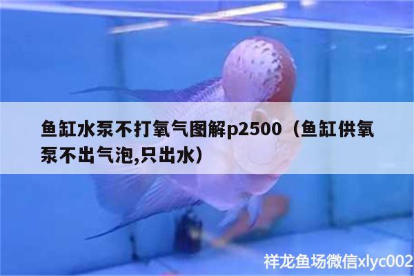 魚(yú)缸水泵不打氧氣圖解p2500（魚(yú)缸供氧泵不出氣泡,只出水）