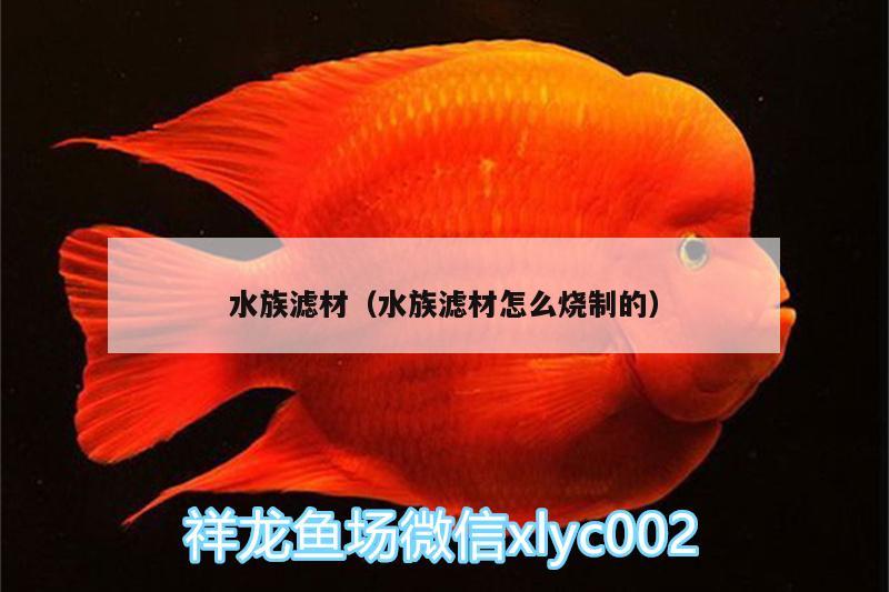 水族濾材（水族濾材怎么燒制的） 雪龍魚 第2張