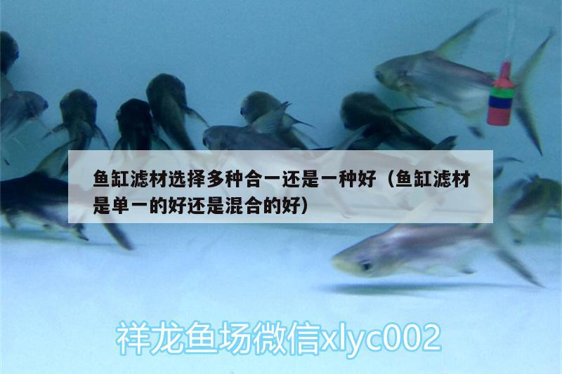 魚缸濾材選擇多種合一還是一種好（魚缸濾材是單一的好還是混合的好） 麥肯斯銀版魚