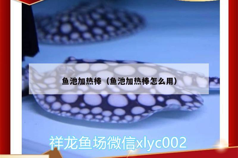 魚池加熱棒（魚池加熱棒怎么用） 觀賞魚飼料