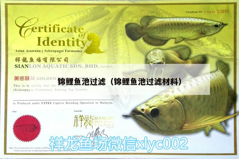 錦鯉魚池過濾（錦鯉魚池過濾材料）