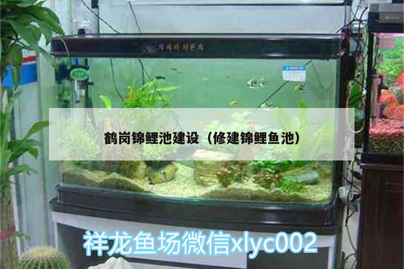 鶴崗錦鯉池建設(shè)（修建錦鯉魚池） 白子銀版魚