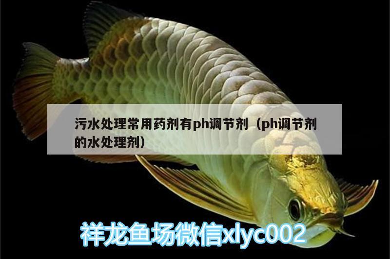 污水處理常用藥劑有ph調(diào)節(jié)劑（ph調(diào)節(jié)劑的水處理劑）