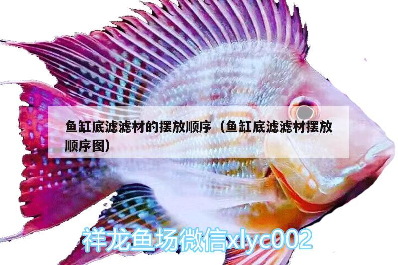 魚缸底濾濾材的擺放順序（魚缸底濾濾材擺放順序圖）