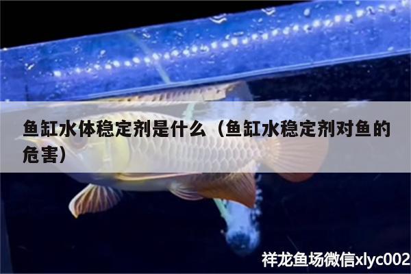 魚缸水體穩(wěn)定劑是什么（魚缸水穩(wěn)定劑對(duì)魚的危害）