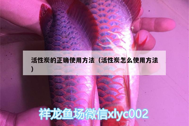 活性炭的正確使用方法（活性炭怎么使用方法） 胭脂孔雀龍魚