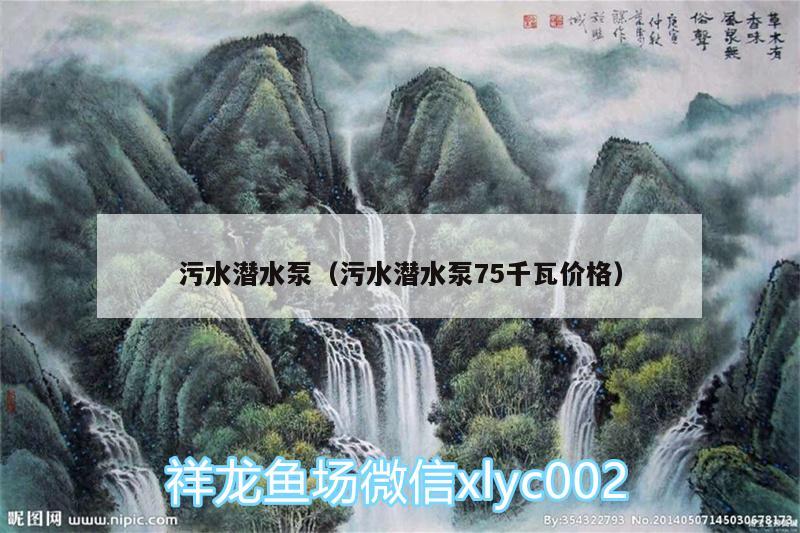 污水潛水泵（污水潛水泵75千瓦價(jià)格）