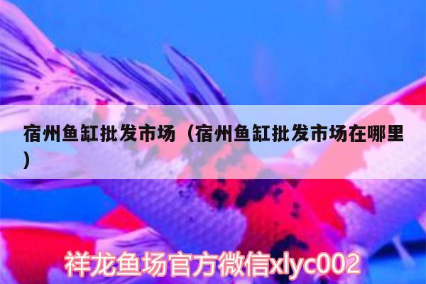 宿州魚缸批發(fā)市場(chǎng)（宿州魚缸批發(fā)市場(chǎng)在哪里）