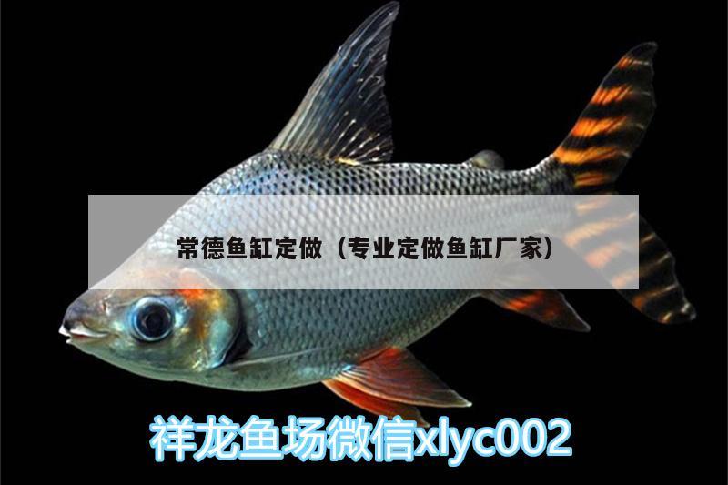 常德魚缸定做（專業(yè)定做魚缸廠家）