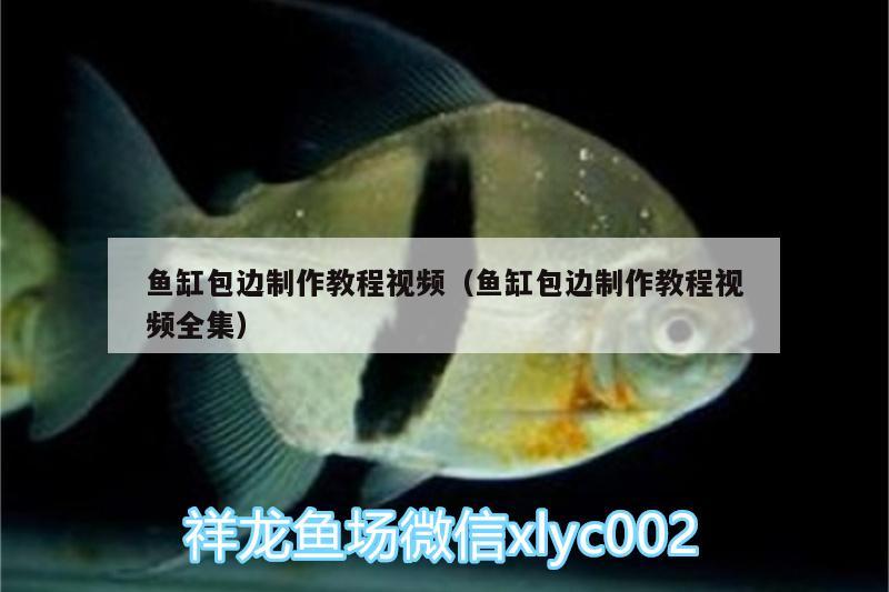 魚(yú)缸包邊制作教程視頻（魚(yú)缸包邊制作教程視頻全集）