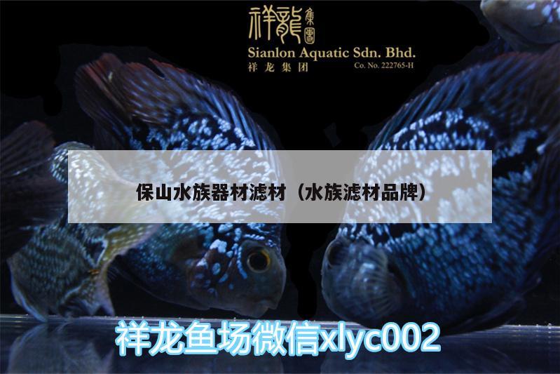 保山水族器材濾材（水族濾材品牌） 觀賞魚飼料