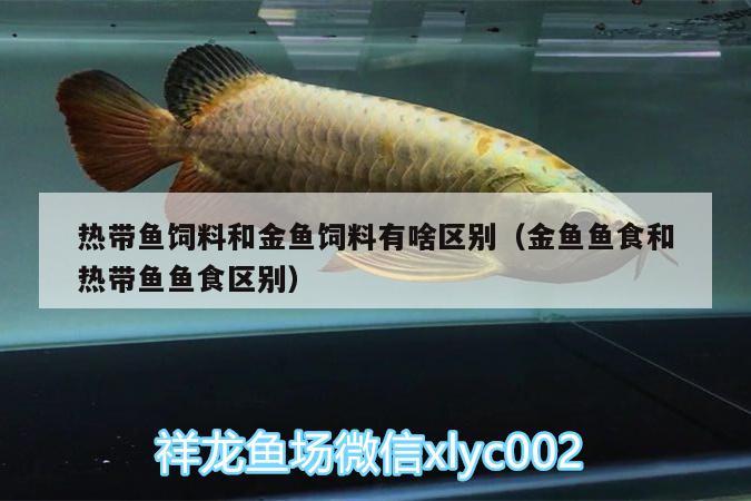 熱帶魚(yú)飼料和金魚(yú)飼料有啥區(qū)別（金魚(yú)魚(yú)食和熱帶魚(yú)魚(yú)食區(qū)別）