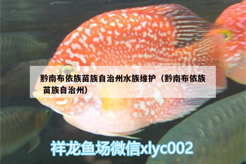 黔南布依族苗族自治州水族維護(hù)（黔南布依族苗族自治州） 觀賞魚水族批發(fā)市場(chǎng)