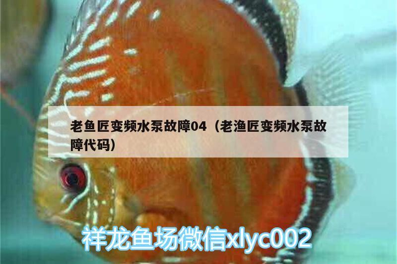 老魚匠變頻水泵故障04（老漁匠變頻水泵故障代碼） 老魚匠