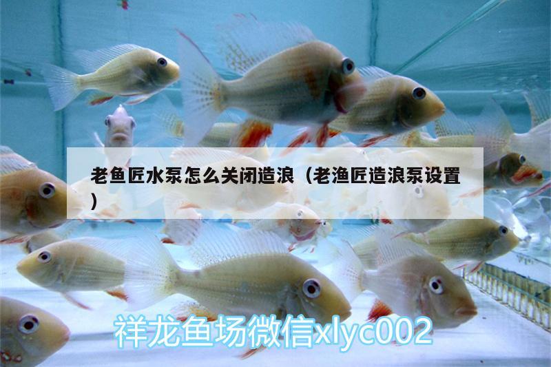 老魚匠水泵怎么關(guān)閉造浪（老漁匠造浪泵設(shè)置） 老魚匠