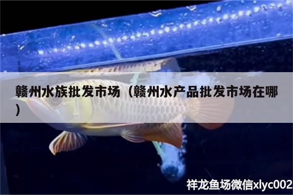 贛州水族批發(fā)市場（贛州水產(chǎn)品批發(fā)市場在哪）