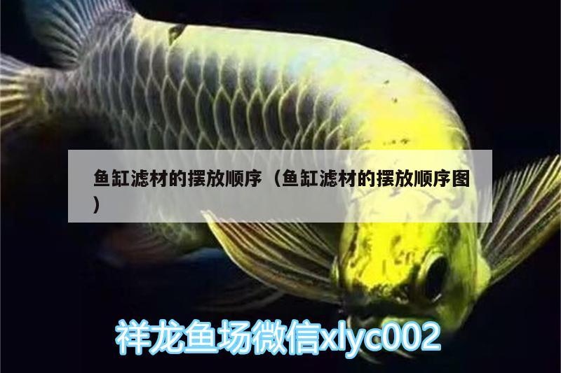 魚缸濾材的擺放順序（魚缸濾材的擺放順序圖） 伊巴卡魚