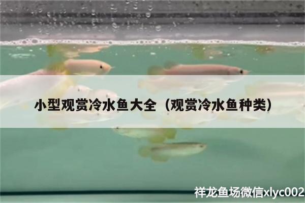 小型觀賞冷水魚大全（觀賞冷水魚種類） 魚缸清潔用具