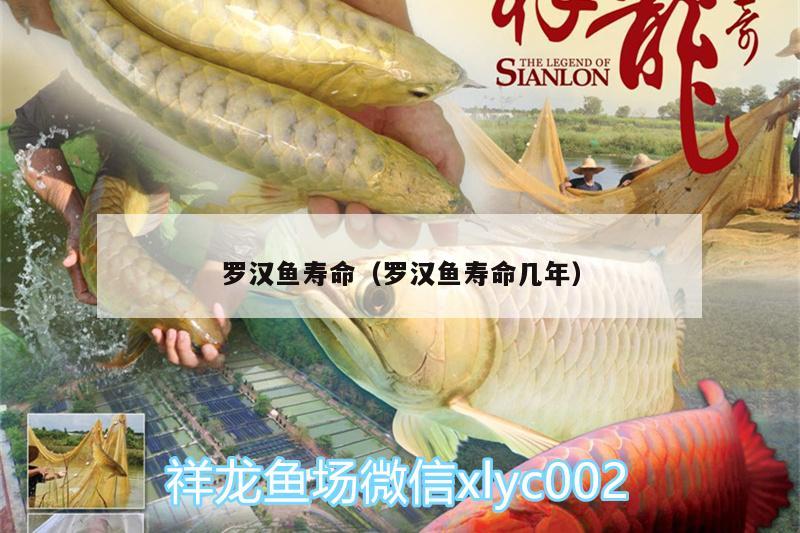 羅漢魚壽命（羅漢魚壽命幾年）