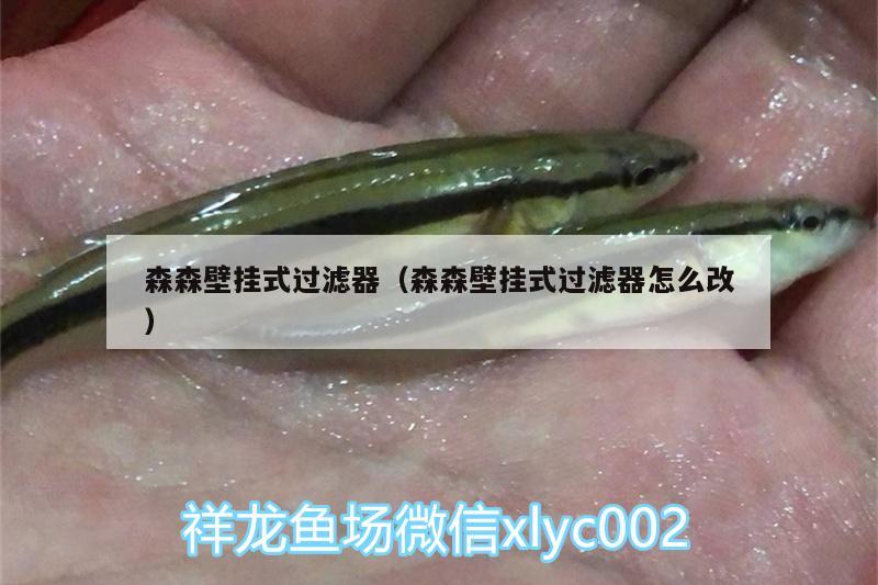 森森壁掛式過濾器（森森壁掛式過濾器怎么改）