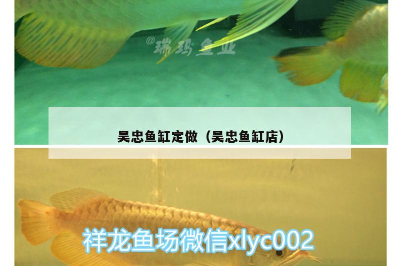 吳忠魚缸定做（吳忠魚缸店）