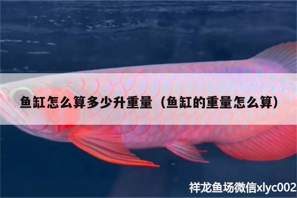 魚缸怎么算多少升重量（魚缸的重量怎么算） 紅頭利魚