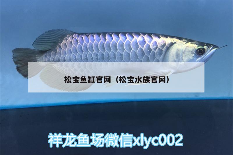 松寶魚缸官網(wǎng)（松寶水族官網(wǎng)） 祥龍傳奇品牌魚缸