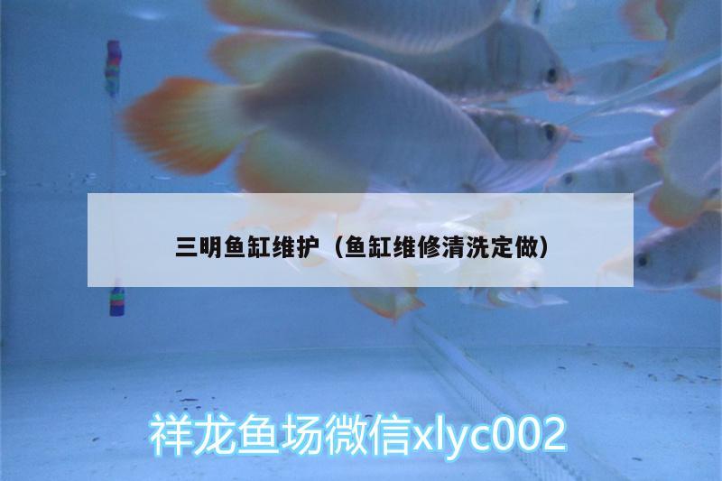 三明魚缸維護(hù)（魚缸維修清洗定做）