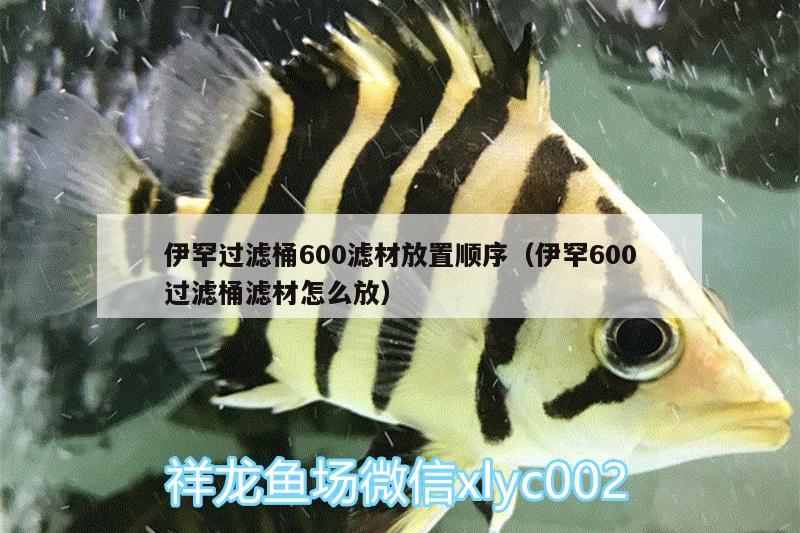 伊罕過濾桶600濾材放置順序（伊罕600過濾桶濾材怎么放）