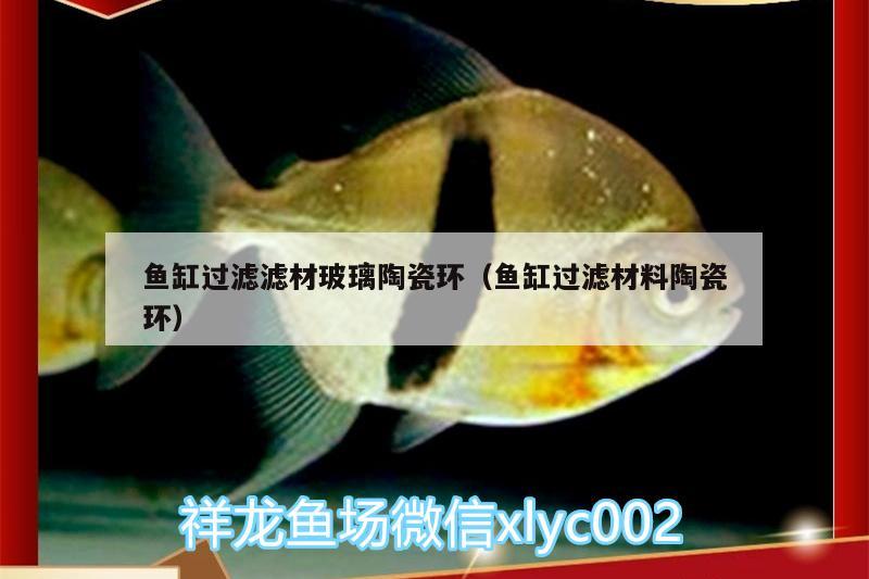 魚缸過濾濾材玻璃陶瓷環(huán)（魚缸過濾材料陶瓷環(huán)）