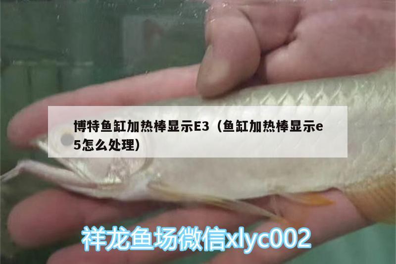 博特魚缸加熱棒顯示E3（魚缸加熱棒顯示e5怎么處理）