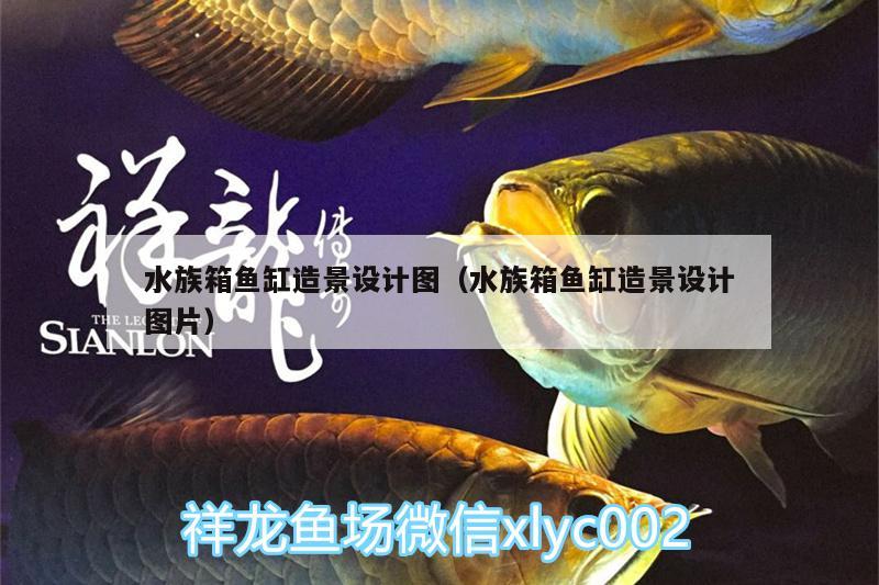 水族箱魚(yú)缸造景設(shè)計(jì)圖（水族箱魚(yú)缸造景設(shè)計(jì)圖片） 魚(yú)缸/水族箱