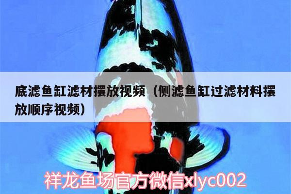 底濾魚缸濾材擺放視頻（側(cè)濾魚缸過濾材料擺放順序視頻） 翡翠鳳凰魚