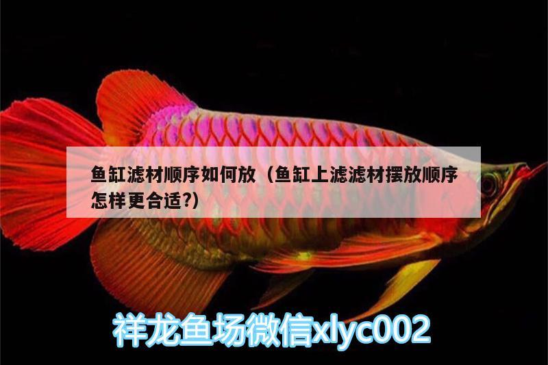 魚(yú)缸濾材順序如何放（魚(yú)缸上濾濾材擺放順序怎樣更合適?）