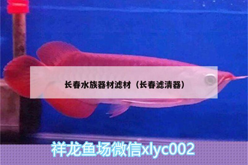 長(zhǎng)春水族器材濾材（長(zhǎng)春濾清器） 三間鼠魚(yú)