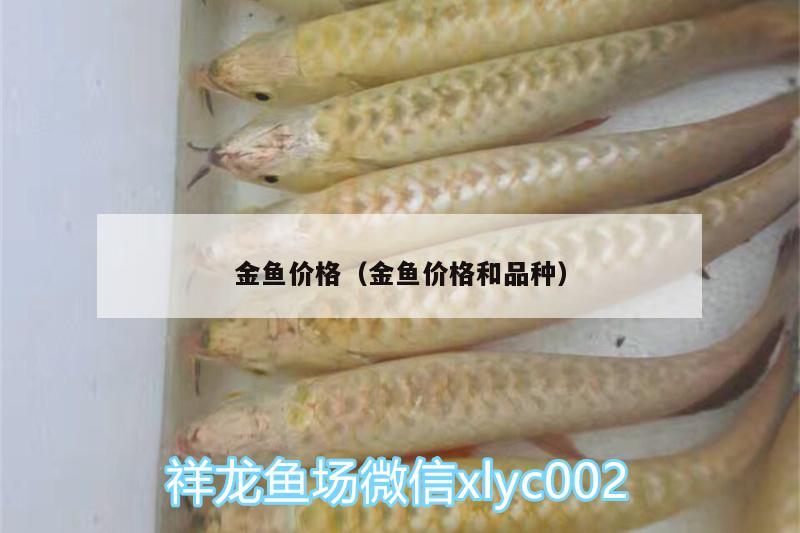 金魚價格（金魚價格和品種） 銀龍魚百科