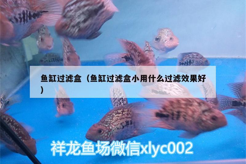 魚(yú)缸過(guò)濾盒（魚(yú)缸過(guò)濾盒小用什么過(guò)濾效果好）