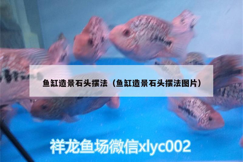 魚(yú)缸造景石頭擺法（魚(yú)缸造景石頭擺法圖片） 和尚魚(yú)