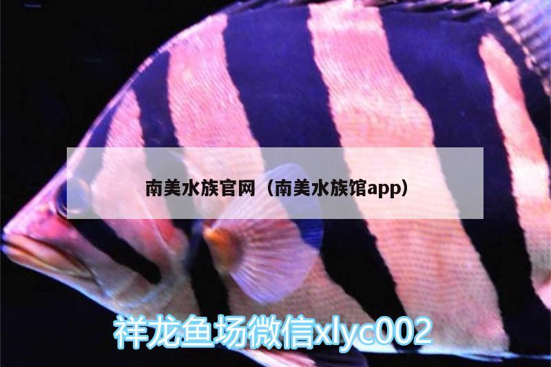 南美水族官網(wǎng)（南美水族館app） 祥龍傳奇品牌魚缸