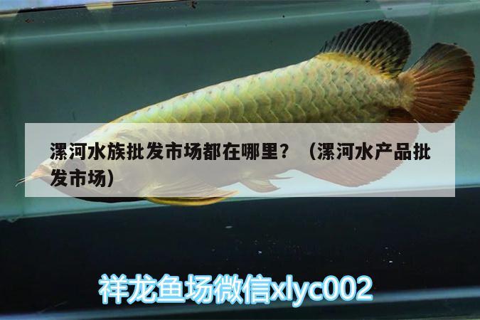 漯河水族批發(fā)市場都在哪里？（漯河水產(chǎn)品批發(fā)市場） 觀賞魚水族批發(fā)市場