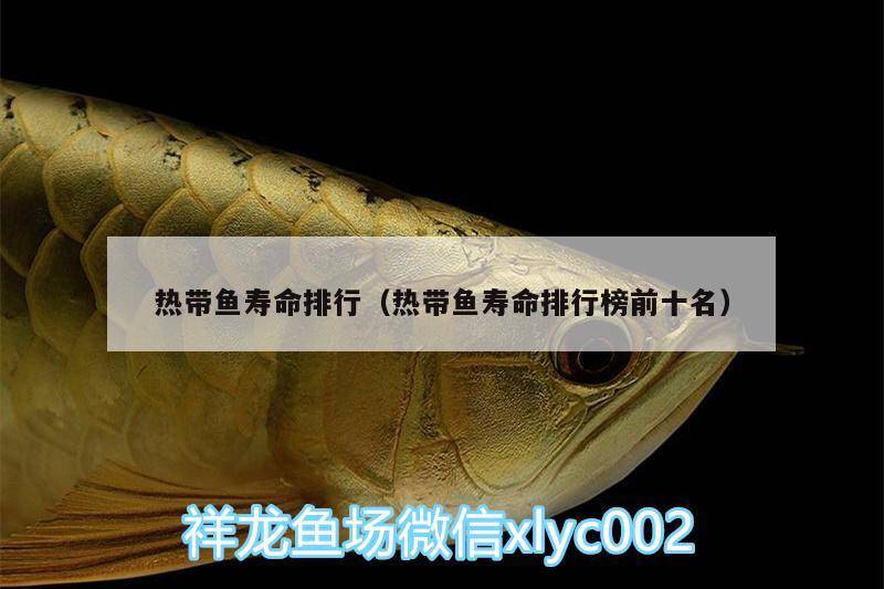 熱帶魚壽命排行（熱帶魚壽命排行榜前十名）