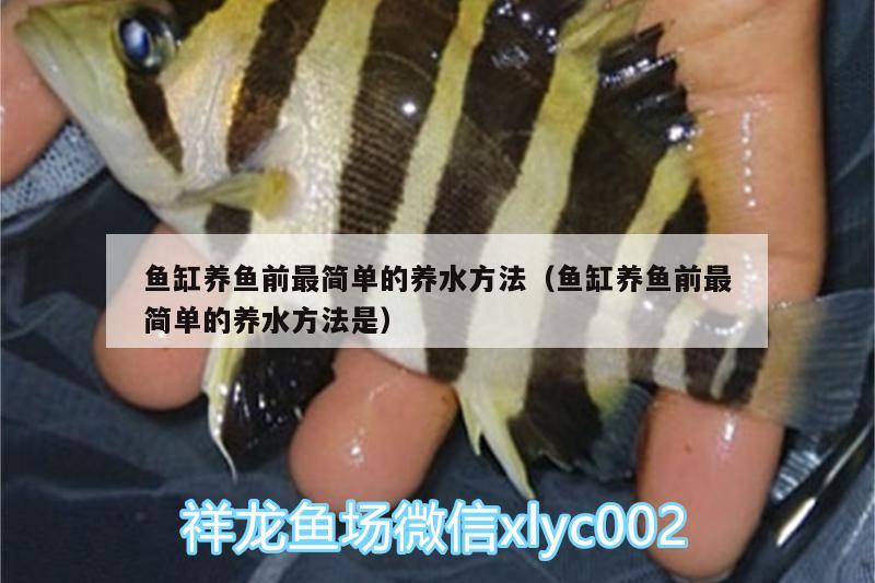 魚缸養(yǎng)魚前最簡(jiǎn)單的養(yǎng)水方法（魚缸養(yǎng)魚前最簡(jiǎn)單的養(yǎng)水方法是）