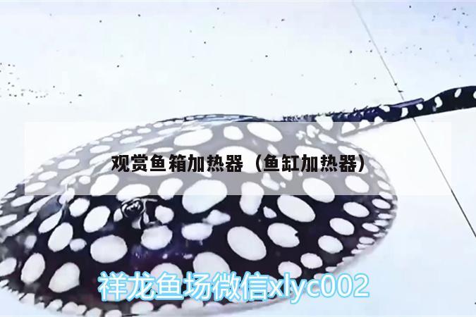 觀賞魚箱加熱器（魚缸加熱器）