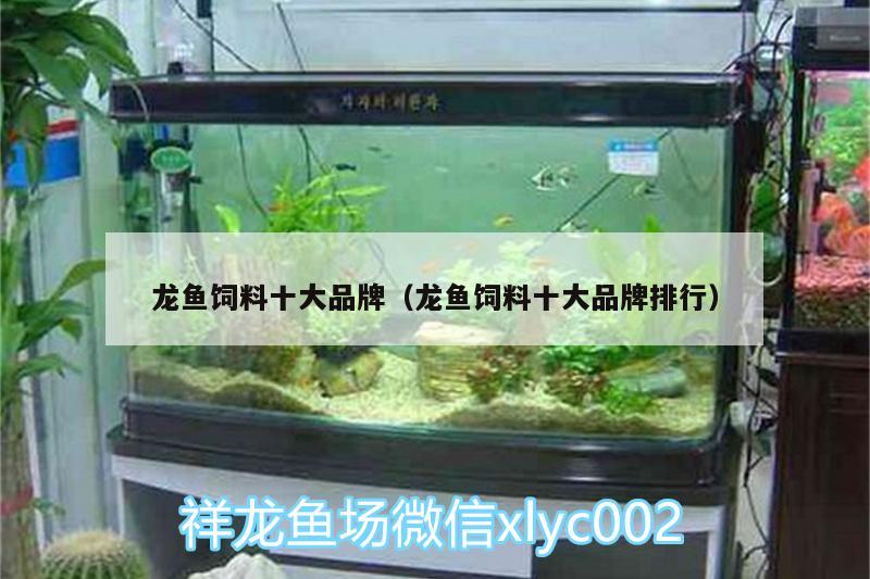 龍魚飼料十大品牌（龍魚飼料十大品牌排行） 黑云魚