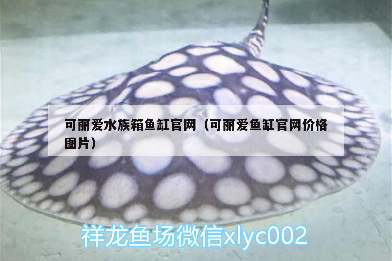 可麗愛(ài)水族箱魚(yú)缸官網(wǎng)（可麗愛(ài)魚(yú)缸官網(wǎng)價(jià)格圖片） 魚(yú)缸/水族箱 第1張